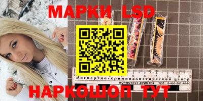 гашик Аргун