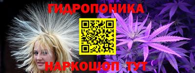 гашик Аргун