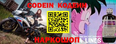 гашик Аргун